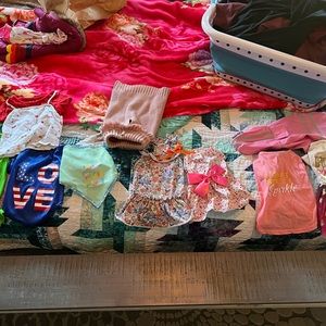 Puppy/small dog “lot” 11 pieces of clothes